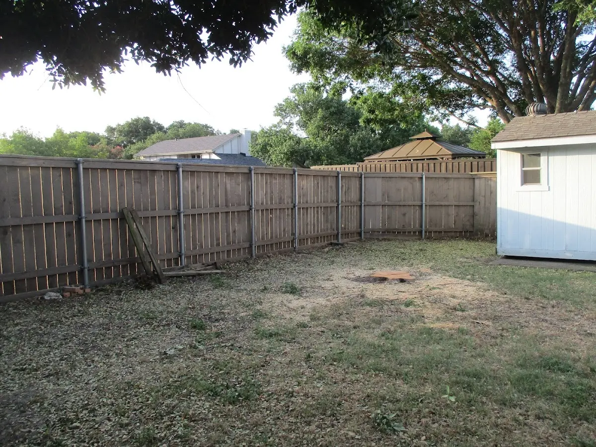 Cleared yard after professional tree removal in Cozad