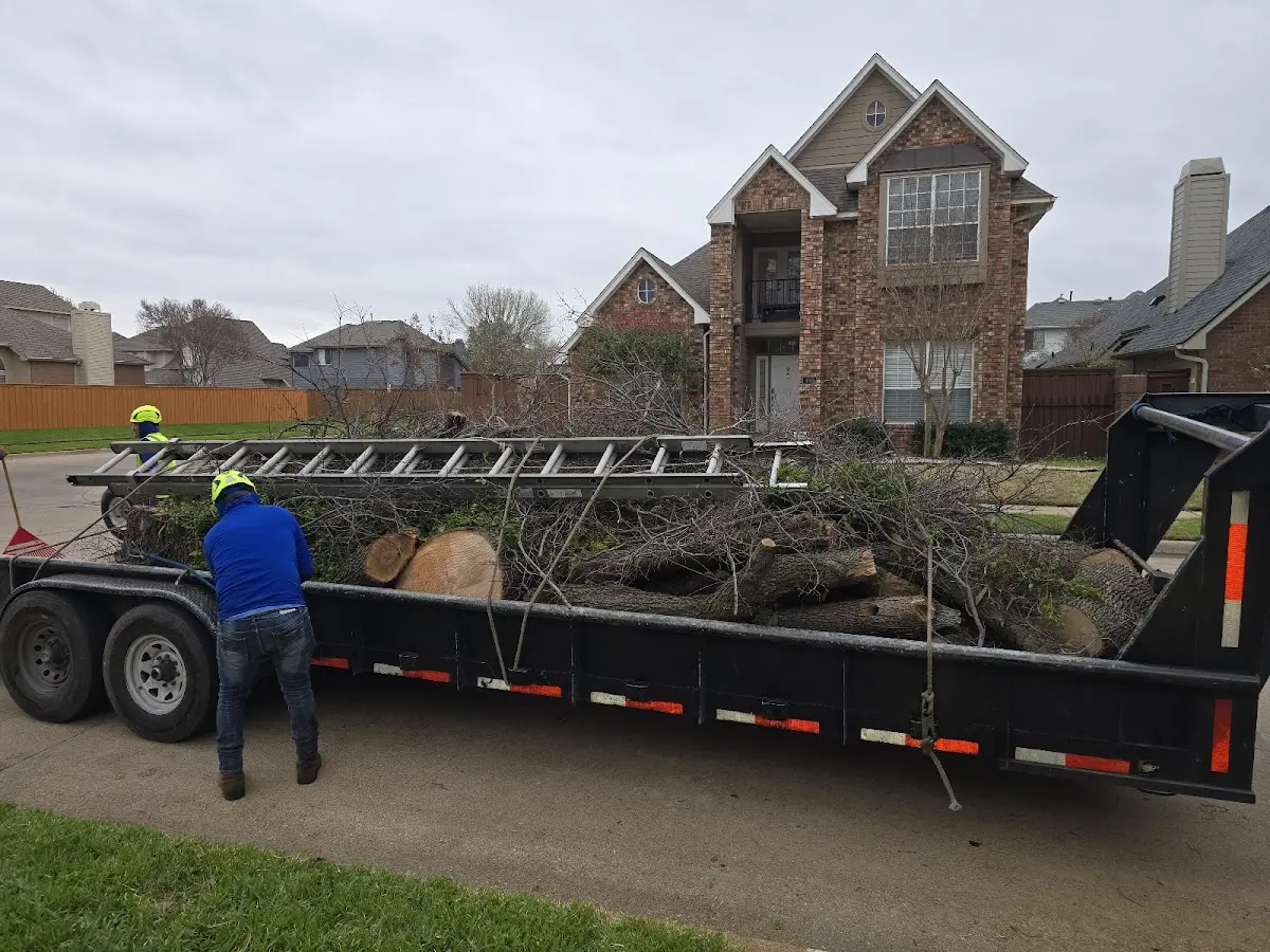 Expert Tree Removal with proper safety equipment in Cozad